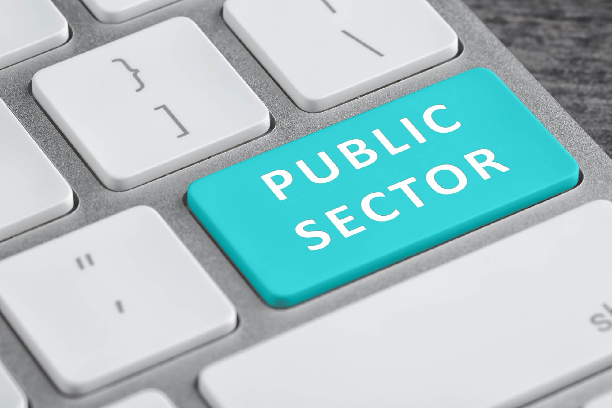 Security for the Public Sector